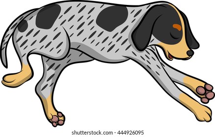 a sleeping blue tick hound