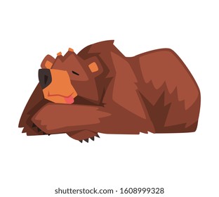 Sleeping Brown Bear, Cute Wild Forest Animal Character Cartoon Vector illustration