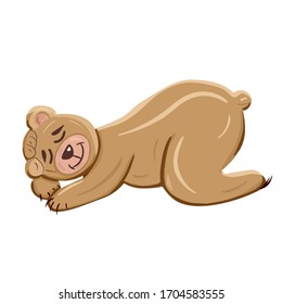 Sleeping brown bear isolated on white background. Cute character vector children illustration in cartoon style. Concept of healthy sleep, sweet dreams, good night, wild animal