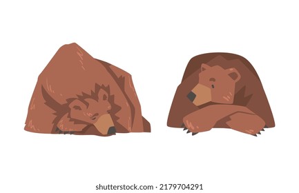 Sleeping Brown Bear as Large Wild Terrestrial Carnivore Mammal with Thick Fur Vector Set