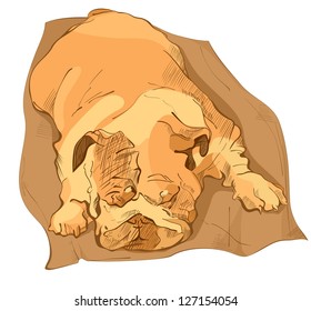 Sleeping bulldog