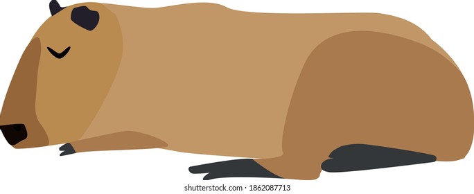 Sleeping Capybara Rodent Animal Cartoon