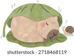 Sleeping Capybara under Big Leaf with Snail on Rainy Day