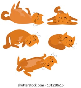 Sleeping Cat