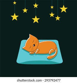 A sleeping cat