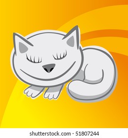 sleeping cat