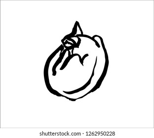 Sleeping cat. Black ink brush drawing. Hand drawn vector illustration.