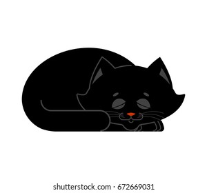 Sleeping cat black isolated. kitten be asleep. sleep pet
