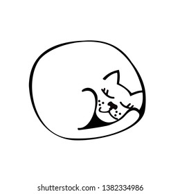 sleeping cat curled up on a white background