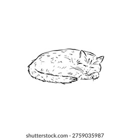 Sleeping cat doodle, hand drawn in black line.