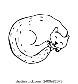 Sleeping cat in doodle style on an isolated white background.Cat curled up.Vector.