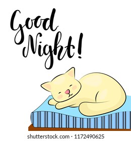 Sleeping cat and Good Night lettering inscription. Good night vector illustration on white background. Cozy mattress or bedding banner template. Lazy cat dreaming. Cute kitten character. Domestic pet