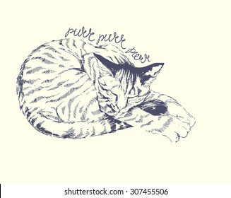 sleeping cat. hand drawn illustration