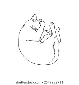 Gato durmiente. Dibujado a mano boceto de Vector. aislado sobre fondo blanco.
