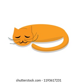 Sleeping cat icon. Cartoon of sleeping cat vector icon for web design isolated on white background