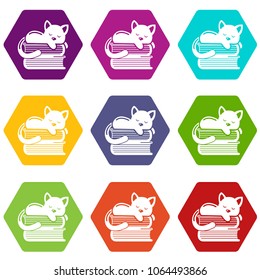 Sleeping cat icons 9 set coloful isolated on white for web