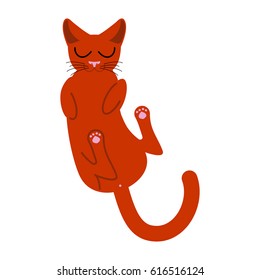 Sleeping cat isolated. Pet sleeps on his back