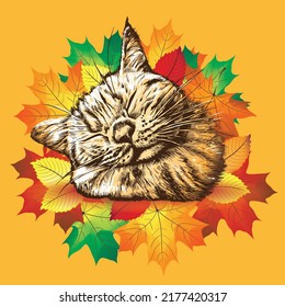 Sleeping cat in maple leaves on orange background. Autumn vector illustration.