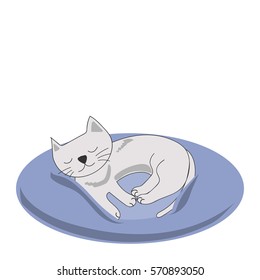 A Sleeping Cat On A Cushion