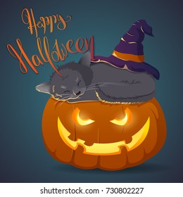 Sleeping cat on a Halloween pumpkin. Illustration-postcard to Halloween