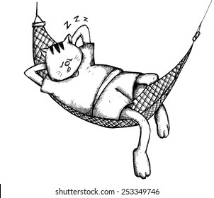 Sleeping Cat on Hammock