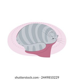 Sleeping cat on a pillow. Cute grey striped cat curled up. Cat behavior, body language and face expressions.  Flat vector illustration of a pet