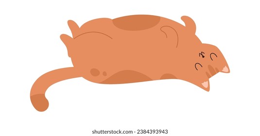 Sleeping Cat Pet Vector Illustration