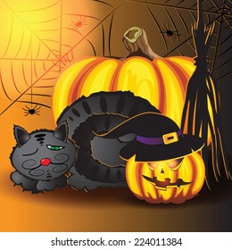 Sleeping cat, pumpkins, spiderweb and broom in the basement before halloween.