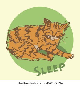 Sleeping cat. Sketch. Cute hand drawn red-headed cat.