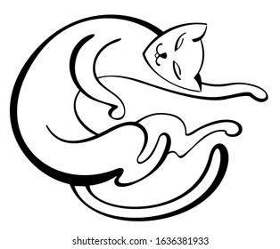 The sleeping cat stretched out its paw