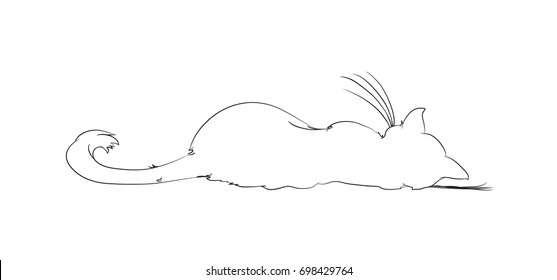 sleeping cat - vector illustration