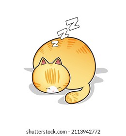 sleeping cat vector illustration vector design