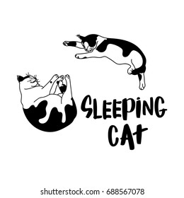 Sleeping cat vector illustration on transparent background. Typography design elements for prints, cards, posters, products packaging, branding.