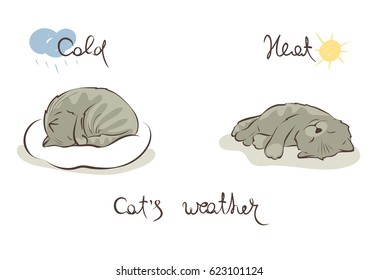 Sleeping cat Vector illustration, weather forecast using cat