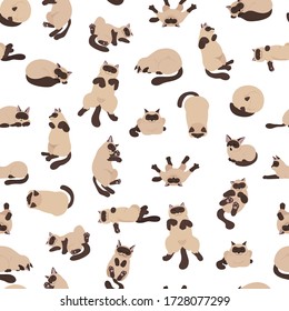 Sleeping cats poses seamless pattern. Flat color simple style design. Siamese colorpoint cats. Vector illustration