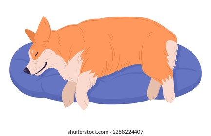 Perro corgi durmiente. Caricatura lindo descansando y durmiendo corgi mascota, feliz cachorro de pedigrí doméstico gráfico vectorial plano