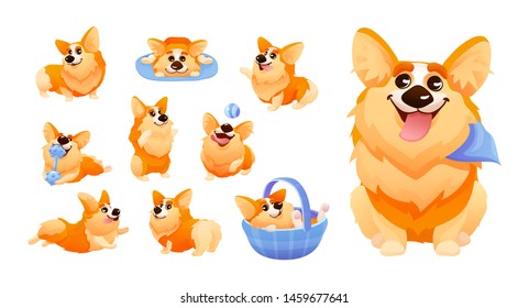 Sleeping Corgi Dog with differents poses, playing dog sport exercise, jump, running, lying in a basket set. Puppy doggy domestic pets emotion, haired puppy looks fox-like isolated cartoon vector