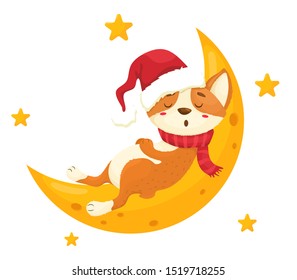 Sleeping Corgi puppy in a red hat on the moon. Merry Christmas. Vector illustration in cartoon flat style. Christmas animals theme.