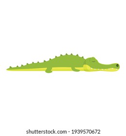 Sleeping crocodile icon. Cartoon of Sleeping crocodile vector icon for web design isolated on white background