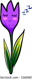 Sleeping crocus, illustration, vector on white background.