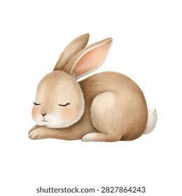 Sleeping cute brown bunny rabbit face