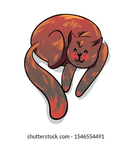 a sleeping cute brown chilling cat 