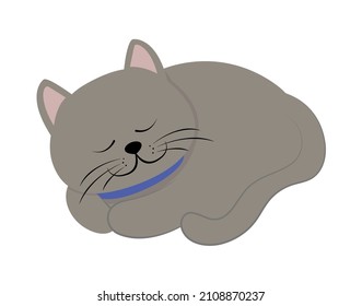sleeping cute cat icon flat