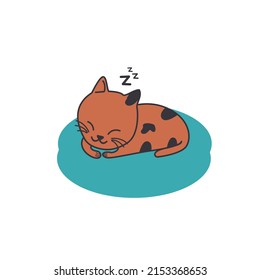 Sleeping Cute Cat Illustration Detail