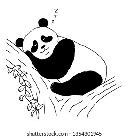 Sleeping cute panda on white background. Vector illustration of sleeping panda on tree. Animal sketch drawn by hand. Illustration of cartoon panda.