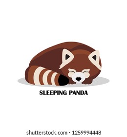 Sleeping cute red panda on white background. Vector illustration. Logo design.