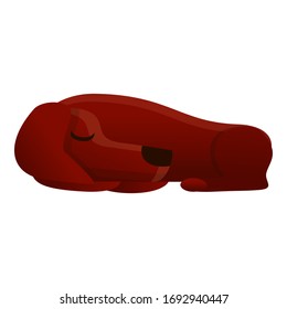 Sleeping dachshund icon. Cartoon of sleeping dachshund vector icon for web design isolated on white background
