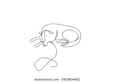 sleeping dog outside calm rope one line art design