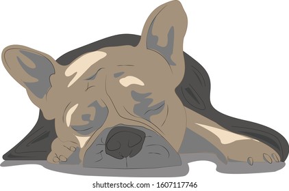 Sleeping dog in vector graphic