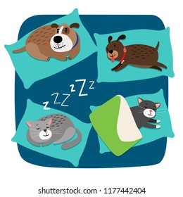 Sleeping dogs and cats on pillows, vector illustration